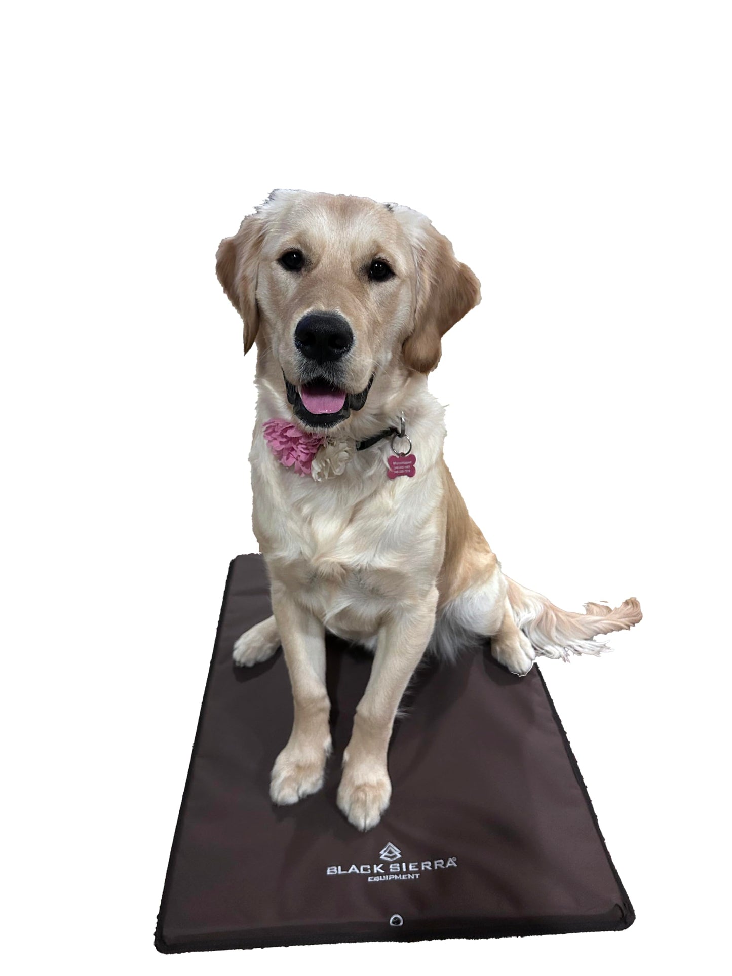 Black Sierra Large Dog Kennel Pad, 1 Inch Thick Padding Measures 30" x 18", Water Resistant Crate Cushion for Hunting or Travel, Durable and Slip Resistant Pet Bedding Mat