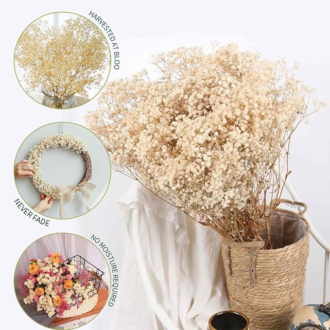Babys Breath Dried Flowers Bouquet-17'' 3000+ Dry Flowers, Natural Gypsophila Branches for Wedding, Home Table Vase Decor, DIY Wreath Floral, Fall Thanksgiving Autumn Decoration (Ivory White, 3oz)