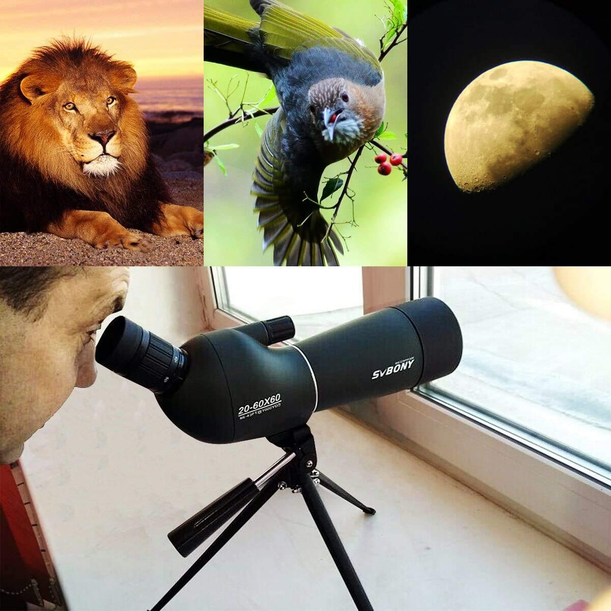 SVBONY SV28 Spotting Scopes 20-60x60mm, Angled Spotting Scope with Tripod IP65 Waterproof Long Range Scope,Spotter Scope with Phone Adapter for Bird Watching Hunting Target Shooting Wildlife Telescope