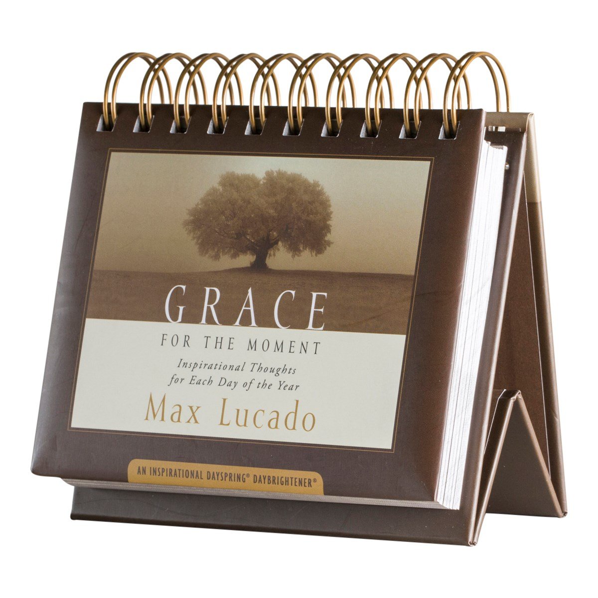 DaySpring - Max Lucado - Grace For The Moment: Inspirational Thoughts for Each Day of the Year - Perpetual Calendar (16755)