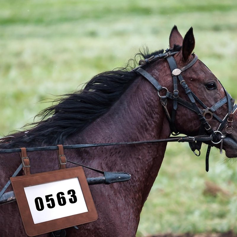 Horse Performance Number Holder - Leather Exhibitor Clip for Saddle | 2 Pcs for Shows & Events
