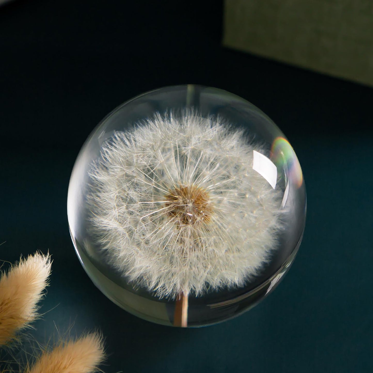 Paperweight Dandelion Dream Ball. Crystal Wishing Ball. Unique Paperweight Made of Dandelion. Gift for Women Men (Mom, Dad, Teacher), Birthday, Wedding, Valentine's Mother's. (9CM)