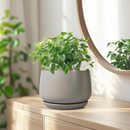 G EPGardening Ceramic Pots for Plants 7 Inch - Large Ceramic Planters for Indoor Plants Outdoor Modern Flower Pot with Drainage Holes and Saucer for Office Garden Patio Grey