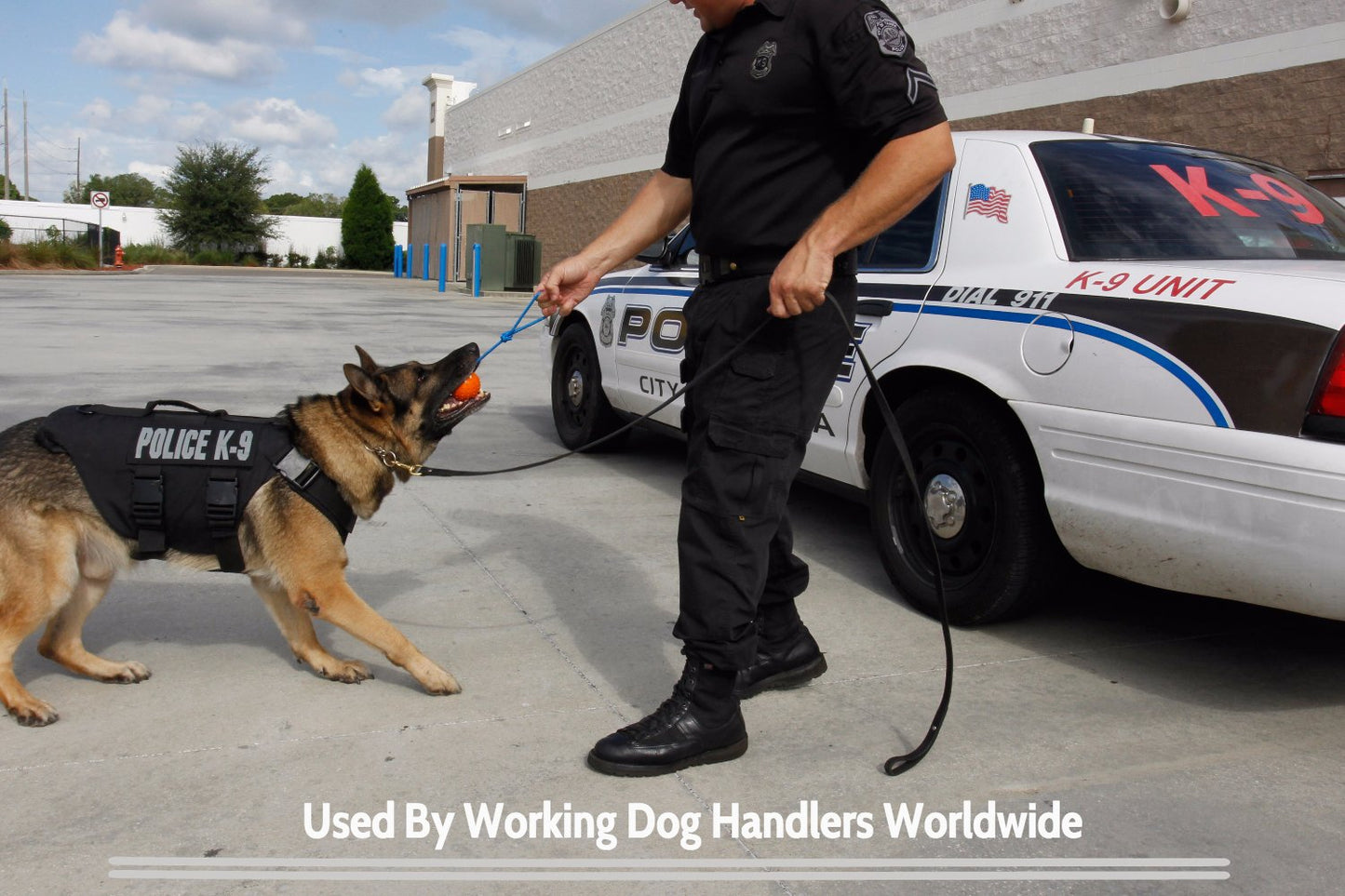 The Nero Ball Classic TM - K-9 Ball On a Rope Reward and Exercise Toy - Police K-9 - Schutzhund