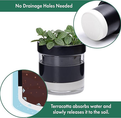 Phoenix Vine 4 Inch Self Watering Planter Pot, Black Terracotta Clay Pot with Glass Reservoir for Indoor Plants, Herbs, Flowers, Set of 2, 52-C-E-2