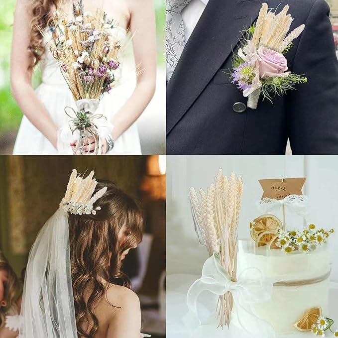 Dried Flowers Bouquet, Dry Flower Bundle, 20Pcs Natural Real Millet Flowers with Stems, Dried Floral Arrangements for Wedding Decor, Door Wreath, Home Party Vase Farmhouse Decoration (White, 17'')