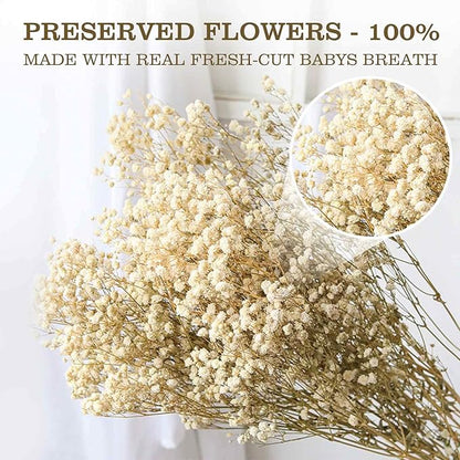 Dried Babys Breath Flowers Bouquet-17 Inch 5000+ Ivory White Dry Flowers, Natural Gypsophila Branches for Wedding, Table Vase Decor, DIY Wreath Floral, Home Office Party Garden Decoration (6OZ)