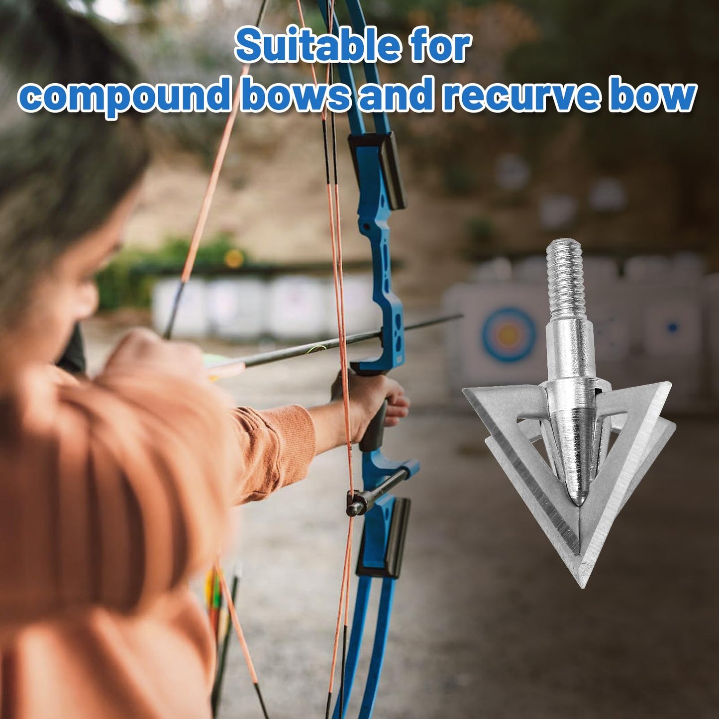 RUOERSISI 6/12 Pcs 100 Grain Stainless Steel Arrowhead Fixed Blade Hunting Broadheads Screw in Arrowheads Traditional Archery Arrow Tips for Compound, Recurve Bow & Crossbow (6pcs)