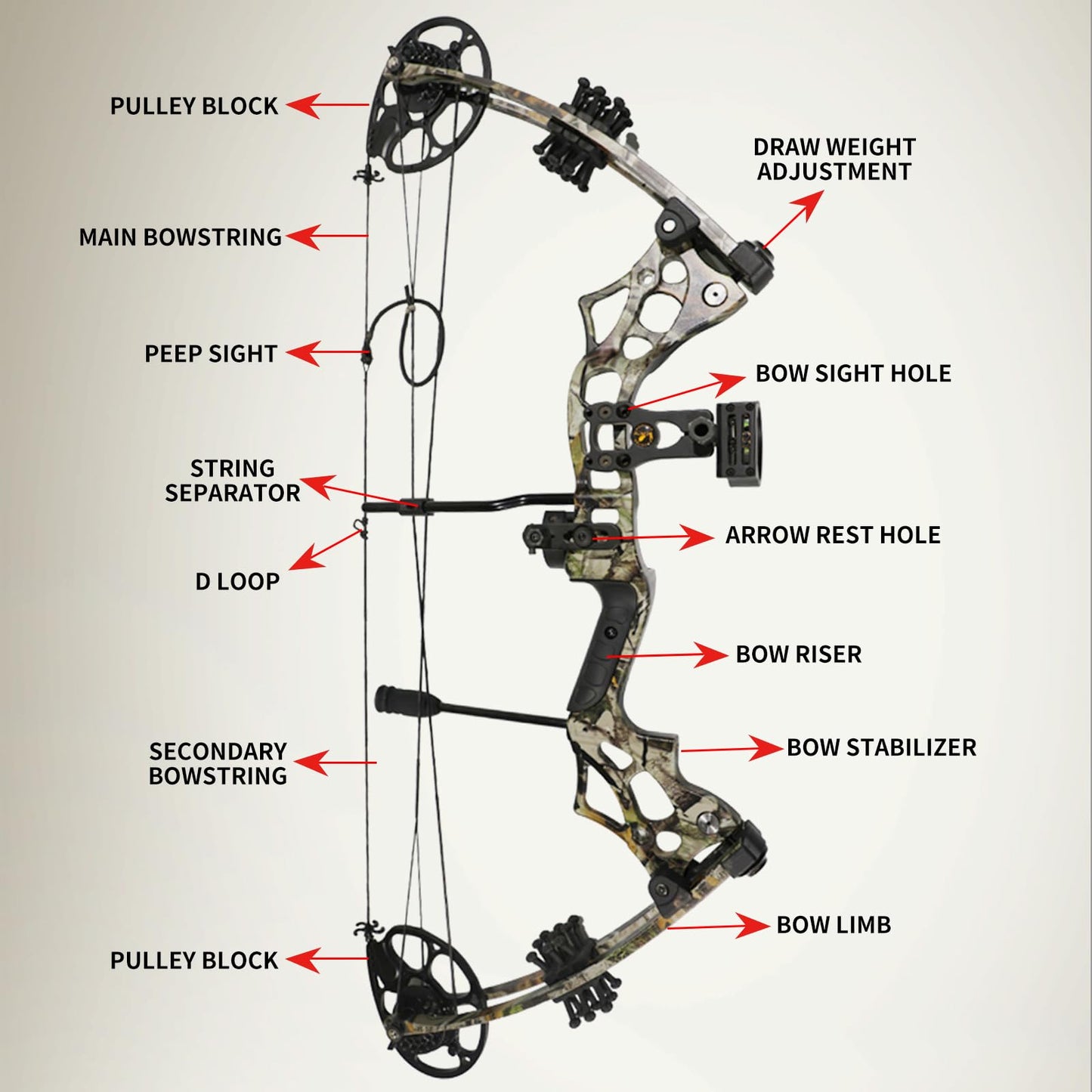 Compound Bow and Arrow Set for Adults Archery Shooting Bow Adjustable 30-65lbs Composite Bow Combination 19.5"-30" Draw Length Hunting Equipment