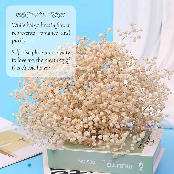 Babys Breath Dried Flowers Bouquet-17'' 2000+ Dry Flowers, Natural Gypsophila Branches for Wedding, Home Table Vase Decor, DIY Wreath Floral, Fall Thanksgiving Autumn Decoration (Ivory White, 2oz)