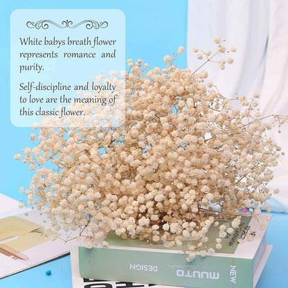 Dried Babys Breath Flowers Bouquet-17 Inch 5000+ Ivory White Dry Flowers, Natural Gypsophila Branches for Wedding, Table Vase Decor, DIY Wreath Floral, Home Office Party Garden Decoration (6OZ)