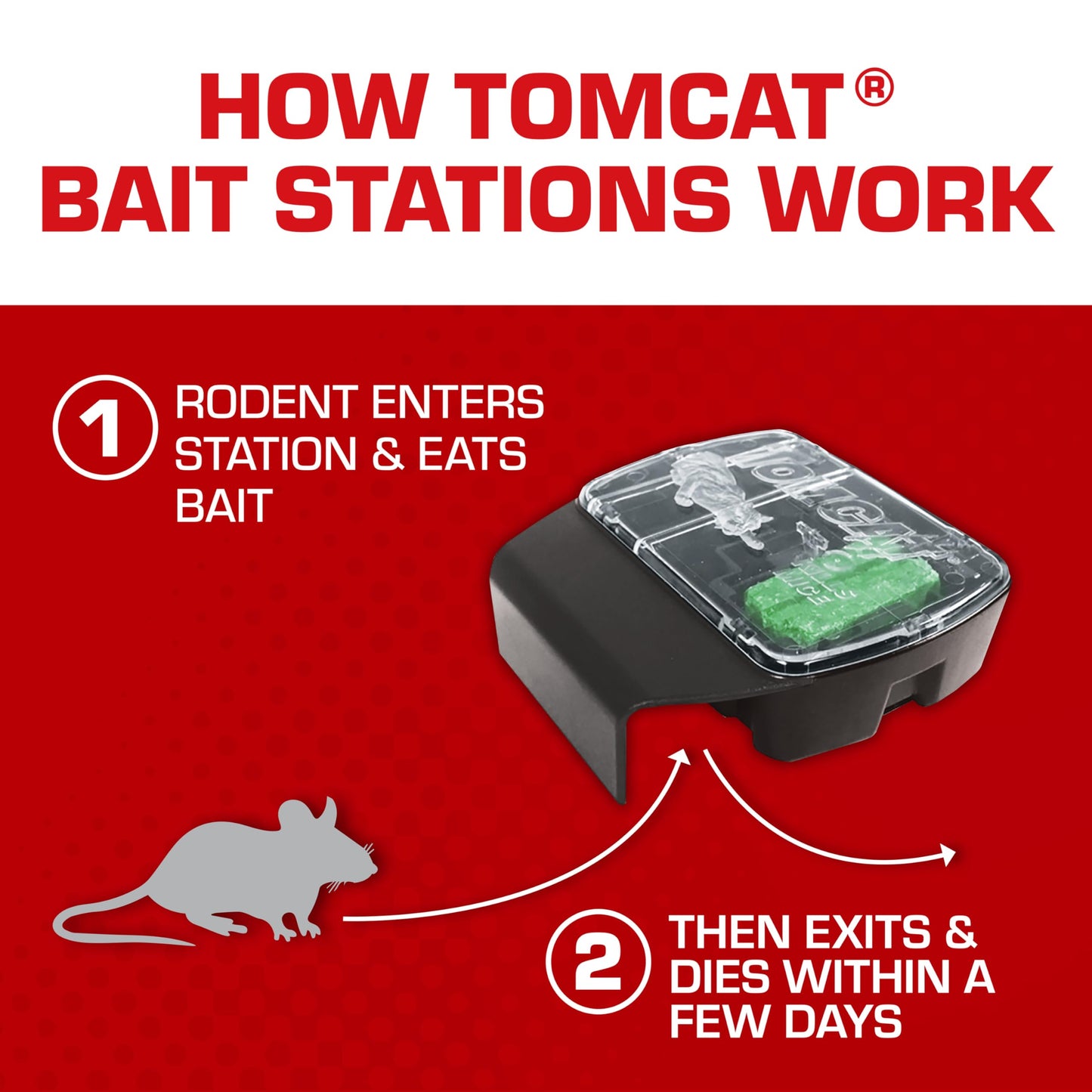 Tomcat Mouse Killer(e), Child Resistant, Refillable Station - Weather-Resistant Indoor/Outdoor Bait Station with Clear Monitoring Lid, 1 Station and 32 Bait Blocks