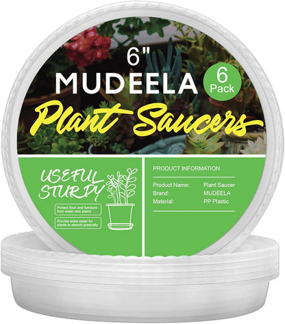 MUDEELA 6 Pack of 6 Inches Plant Saucers for Indoor, Durable Plastic Round Plant Tray Plant Dish Pant Plate to Catch Water for Flower and Plant Pot, Thicker, Stronger, Deeper, Clear
