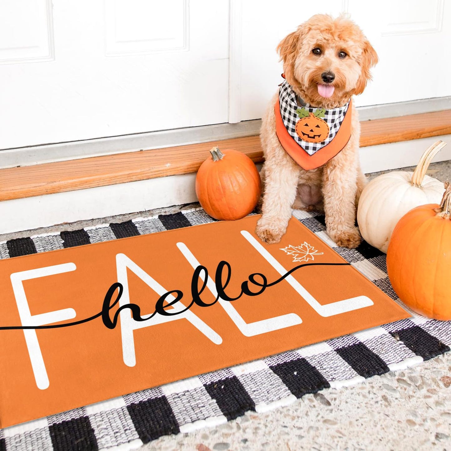 HANXIG Hello Fall Door Mat - Autumn Maple Leaf Doormat, 17 x 29 Inch, Non-Slip Rubber Backing, Washable Seasonal Welcome Rug for Indoor/Outdoor