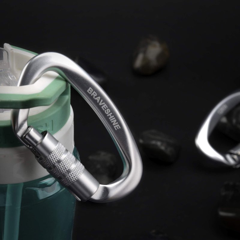 BRAVESHINE Heavy-Weight Carabiner - 2 Pack D Ring Snap Keychain Locking Caribeaner Clips - 12KN Aluminum Screws Buckle Carabiner Hook for Men Women Key Keychains, Water Bottle, Dog Leash - Silver