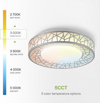 ASD 12 Inch LED Flush Mount Ceiling Light Fixture for Bedroom, 20W 1130LM 5CCT 2700K-5000K, Triac Dimmable Lights, Dining, Living Room, Kitchen Lamps, Modern Home Lighting Fixtures, Nickel, ETL