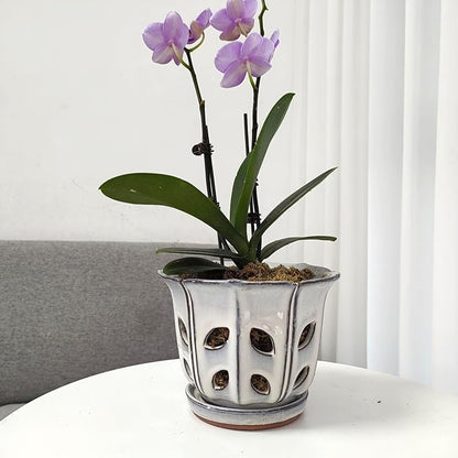 Orchid Pots with Holes 6 inch Ceramic Orchid Pot with Attached Saucer and Drainage Hole (White)