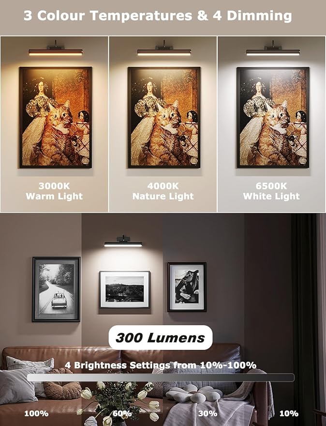 Picture Light with Remote, 16in Battery Operated Picture Lights for Wall 5000mAh, 3 Color Modes and Dimmable LED Art Lighting with Timer for Painting, Frame, Gallery (Black-1Pack)