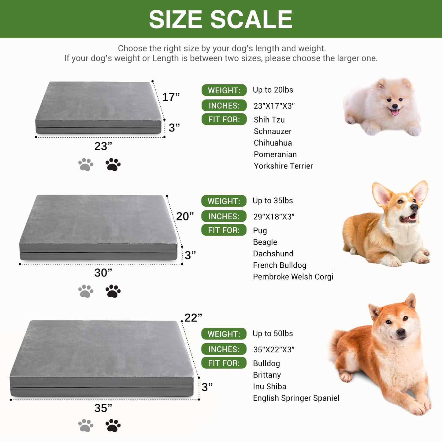 Waterproof Small Dog Bed Crate Pad 24 inch, Outdoor Washable Puppy Bed Orthopedic with Removable Cover Reversible, Foam Cat Bed Kennel Pad 23" x17, Durable Anti-Slip Bottom, Gray
