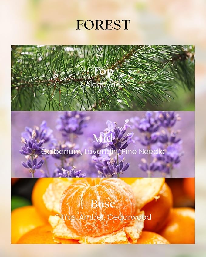 M&SENSE Forest Scented Vegan Soy Candles,8.1oz 42-Hour Slow Burning Time,No Toxin Naturally Scented Candles for Fall Winter Bathtub Aromatherapy Calming Home Fragrance, Thanksgiving Christmas Gifts