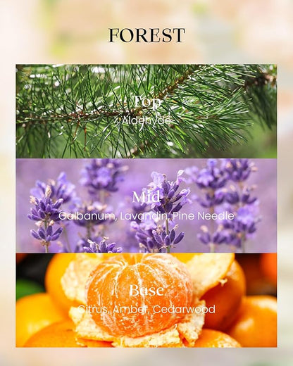 M&SENSE Forest Scented Vegan Soy Candles,8.1oz 42-Hour Slow Burning Time,No Toxin Naturally Scented Candles for Fall Winter Bathtub Aromatherapy Calming Home Fragrance, Thanksgiving Christmas Gifts