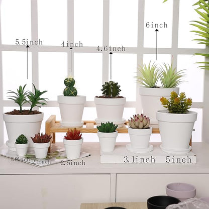 Terra Cotta Pots with Saucer- 6-Pack Large Terracotta Pot Clay Pots 5.5'' Clay Ceramic Pottery Planter Cactus Flower Pots Succulent Pot with Drainage Hole- for Plants,Crafts terra cotta planter(White)
