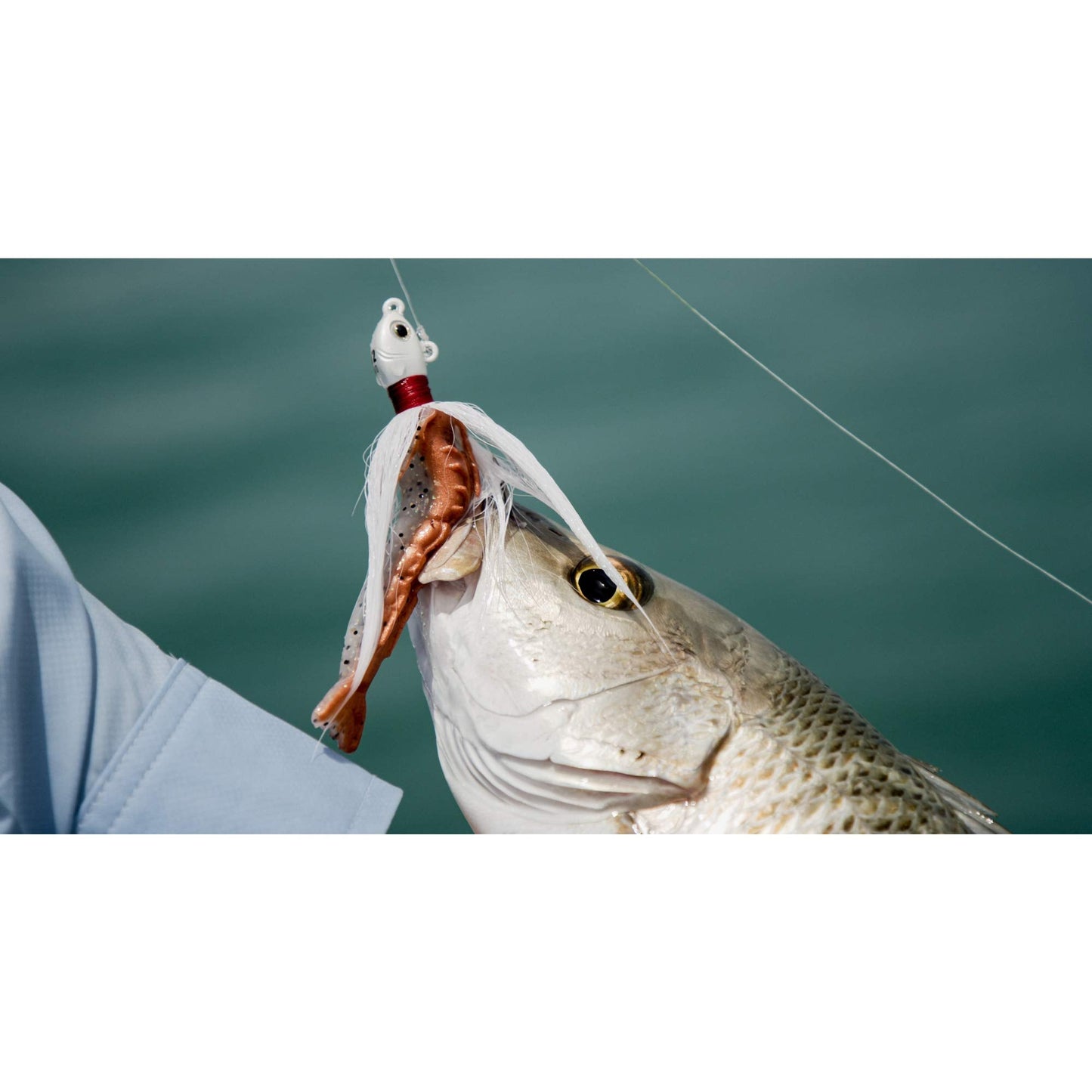 Berkley Gulp! Shrimp Saltwater Fishing Soft Bait, Pearl White/Pink, 3in