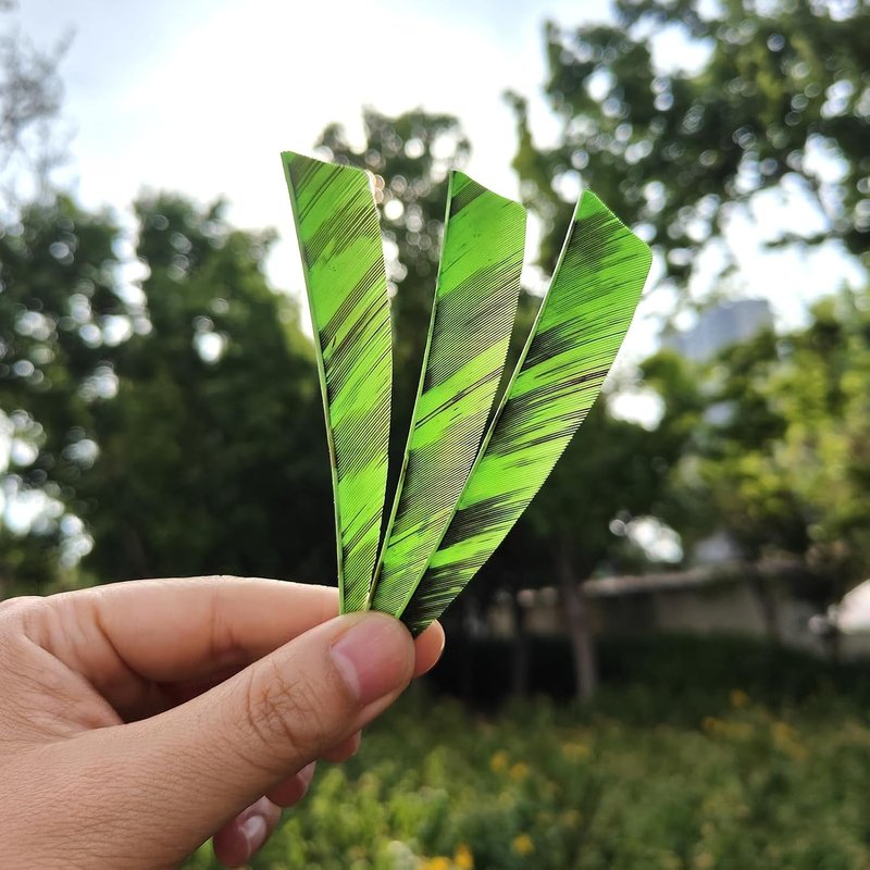 Natural Turkey Fletchings - 36pcs 4-Inch Shield Cut Real Feathers for Archery | Right Wing Vanes
