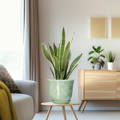 Ceramic Planter - 8 Inch Plant Pot for Indoor Outdoor, Round Flower Pots with Drainage Hole and Saucer, Modern Decorative Planters, Home Office Desk Decor, Gifts for Plant Lovers, Green