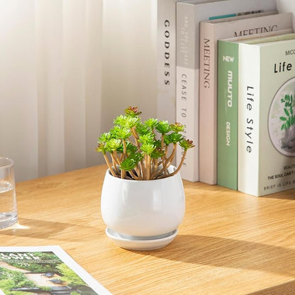 vancasso 3-Pack Ceramic Plant Pots, 3.7/4.8/6.2 Inch Indoor Planters with Saucers & Drainage Hole Planter pots for Indoor Plants and Flower, White