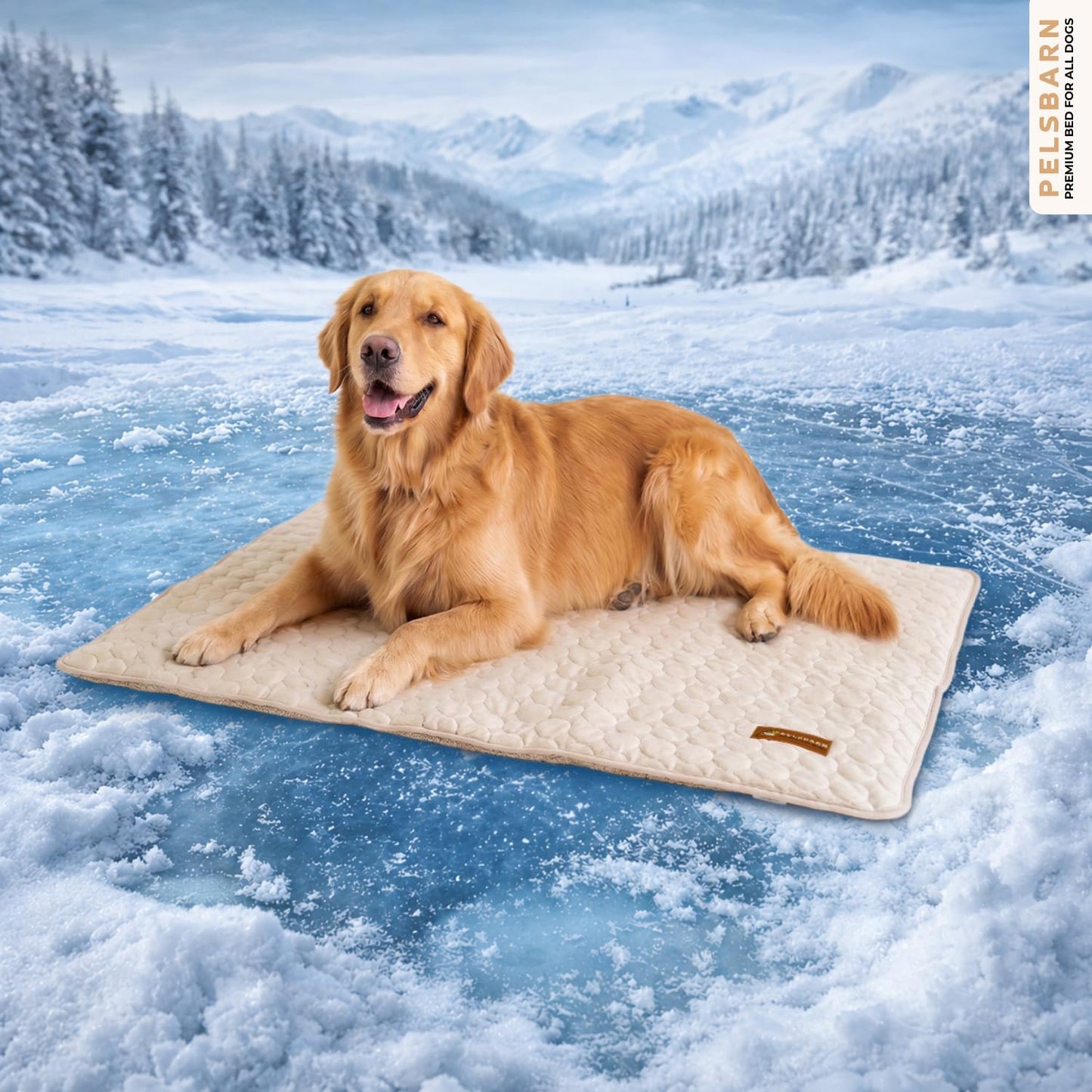 Pelsbarn Dog Cooling Mat- Ice Silk Summer Comfort, Self Cooling, Non-Slip Dog Pad, Durable & Washable, Mat for Extra Large Dogs 33 x 45, Support Shelter Dogs with Every Purchase (Beige)