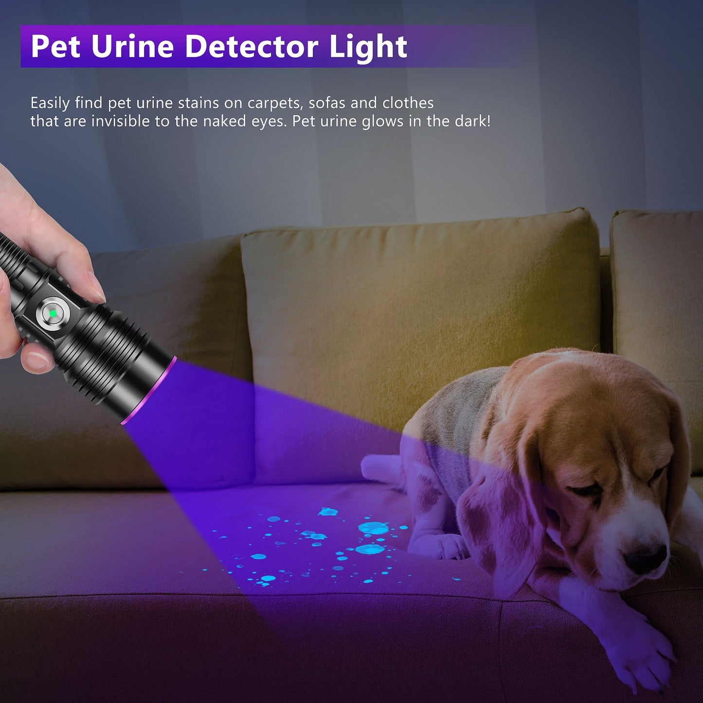 WINDFIRE UV Flashlight Rechargeable, 365nm Blacklight Flashlights Powerful, Black Light for Pet Urine Detection, Scorpions, Resin Curing, Rocks, Blood Tracking, Uranium Glass
