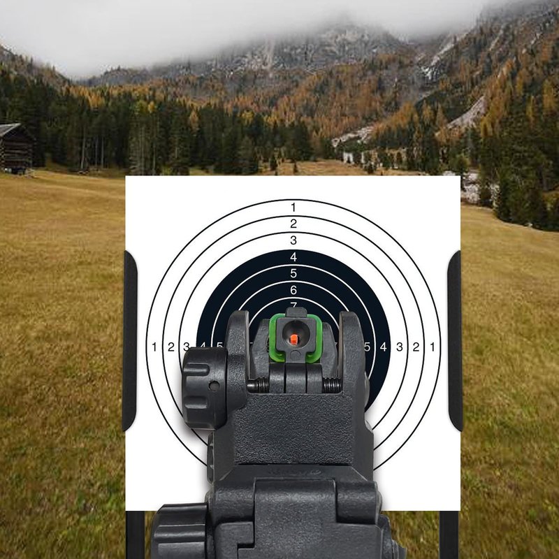 ohhunt Flip Up Sights Polymer Fiber Optic Sights Backup Sight Black for Picatinny (Black Fiber Optics)