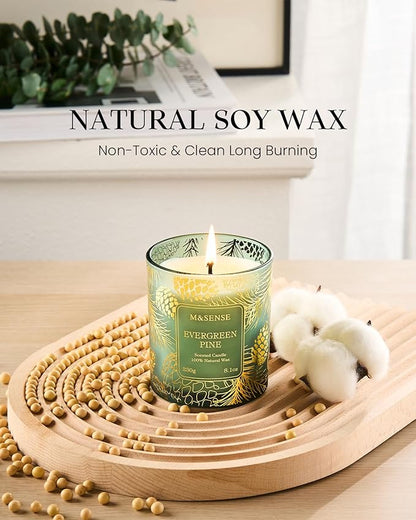 M&SENSE Evergreen Pine Scented Vegan Soy Candles,8.1oz 42-Hour Slow Burning Time,No Toxin Candles for Fall Winter Aromatherapy Calming Home Fragrance,Fall Winter Thanksgiving Christmas Gifts