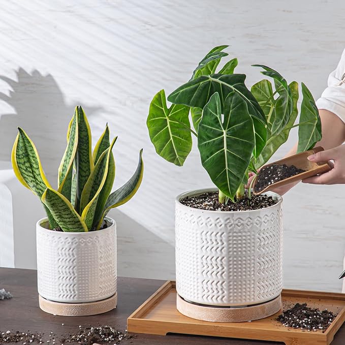 Indoor-Outdoor Ceramic Plant Pots: 6 Inch Flower Pots with Drainage Hole & Saucer - Decorative Ceramic Pots for Plants Herbs Succulents - Home Garden Patio Lawn Use (White)