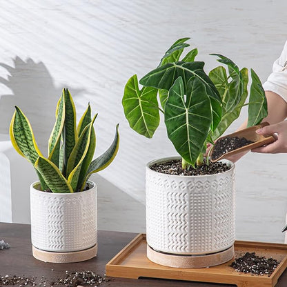 Indoor-Outdoor Ceramic Plant Pots: 8 Inch Flower Pots with Drainage Hole & Saucer - Decorative Ceramic Pots for Plants Herbs Succulents - Home Garden Patio Lawn Use (White)