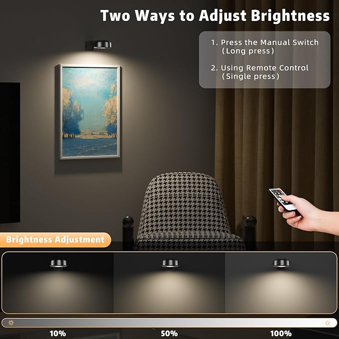 3PCS Picture Lights, Rechargeable Battery Wall Light for Paintings, 3 Colors Paintings Light Dimmable and Timer Metal Art Light for Display, Wall, Artwork, Gallery (Black)