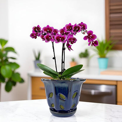 Ceramic Orchid Pots with Holes 6 inch (Dark Blue)