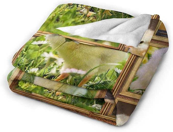 Cute Chicken Blanket, Farm Animal Throw Blankets, Yellow Chick Fuzzy Plush Blanket Ultra Soft for Chicken Lover Gift Kids Teens Women Men Girls Boys Stuff Decor for Home Bedding Sofas Couch 50"X40"