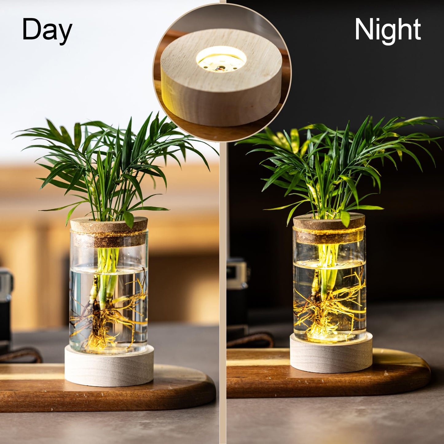 Glass Plant Propagation Stations, Propagation Vases for Plants with Ambient Light Base, Hydroponic Vase for Home & Office Windowsill Tabletop Decoration Desktop Vases for Living Room, Bedroom (6)