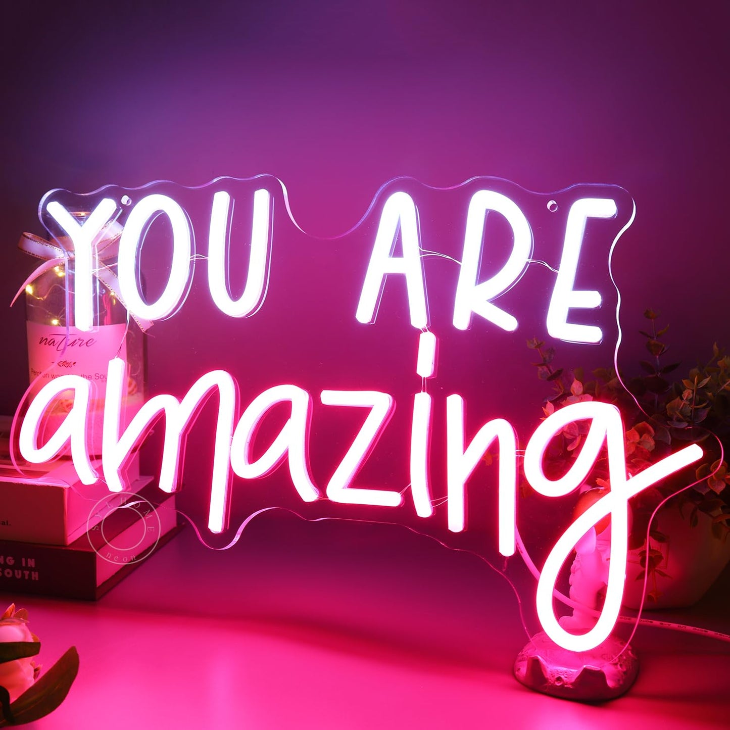 SYLHOME You Are Amazing LED Neon Light Sign 5V Girls Boys Bedroom Living Room Classroom Wall Decor Sign Hanging Smart Kid Teachers Birthday Decor USB 16.9" X 10.6" Pink White