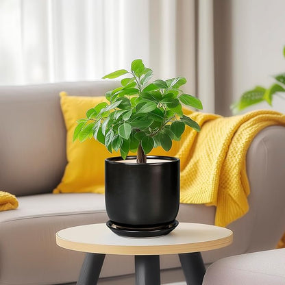 Ceramic Pot for Plants 5 Inch - Modern Round Indoor Planter for Cactus Succulent Plants with Drainage Hole and Saucer, Home Room House Office Decor, Black