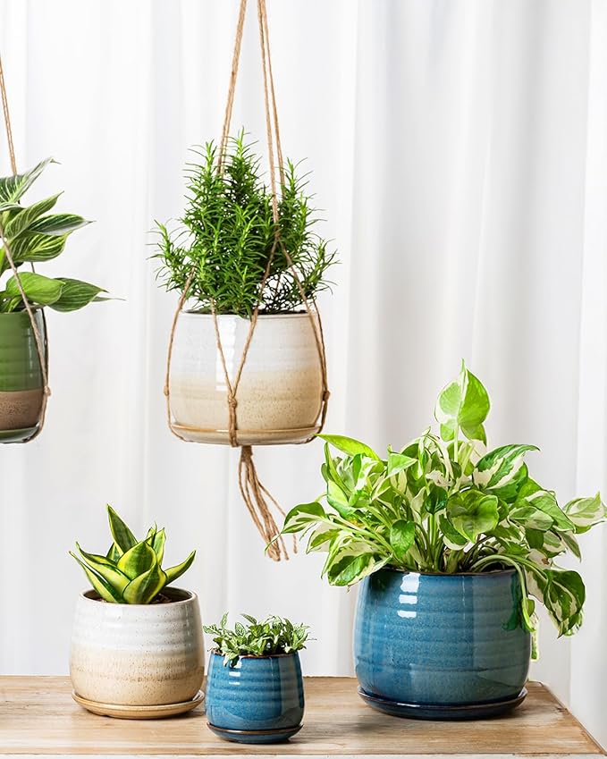 Ceramic Plant Pots with Drainage Holes and Saucers, Indoor Flower Pots for Plants Set of 3, 3.4+4.7+6.1 inch Cute Garden Pots Set for Succulent and Money Tree, Gift for Housewarmings, Blue