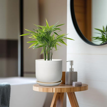 Ceramic Pot for Plants 7 Inch - Modern Round Indoor Outdoor Planter with Drainage Hole and Saucer, Home House Office Room Decor, White