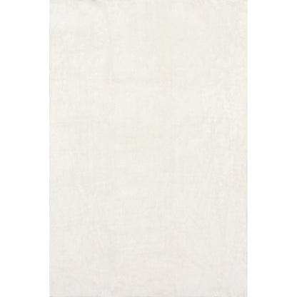 nuLOOM 3' x 5' Cozy Plush SuperiorWash Area Rug, Machine Washable, Non-Slip, Soft Fluffy Shag Carpet for Living Room Bedroom Kids Room Nursery Home Decor, Loni White