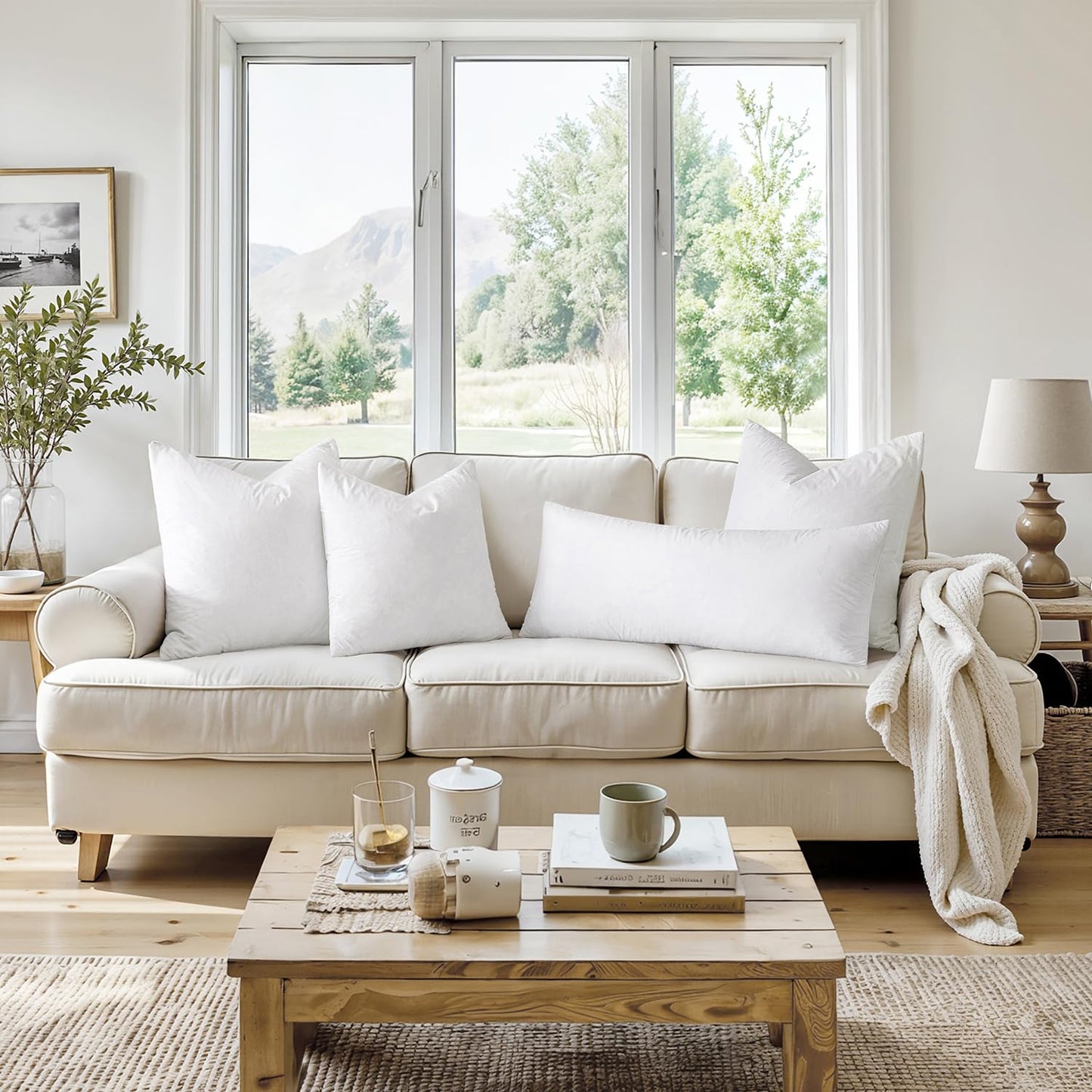 MIULEE 22x22 Pillow Inserts,Set of 2 Down Feather Throw Pillows for Couch Sofa Bed, Decorative Fluffy Throw Pillow Inserts Cotton Fabric,White