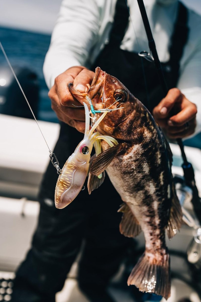 Nomad Design Squidtrex Vibrating Fishing Lure - TPE Soft Plastic Bait with Strong BKK Assist Hooks for Saltwater Fishing