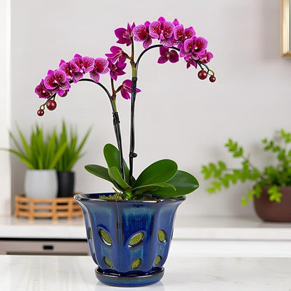 Ceramic Orchid Pots with Holes 6 inch (Dark Blue)