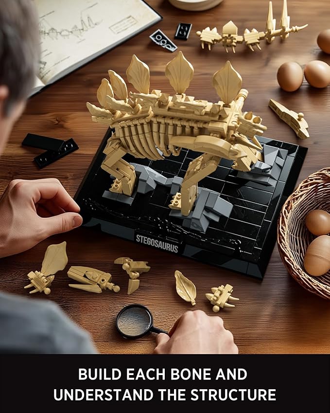 Nifeliz Stegosaurus Fossils Model Set Dinosaur Skeleton Building Set with Display Base for Adults Ideal Gift for Enthusiasts and Collectors (665 PCS NF10353)