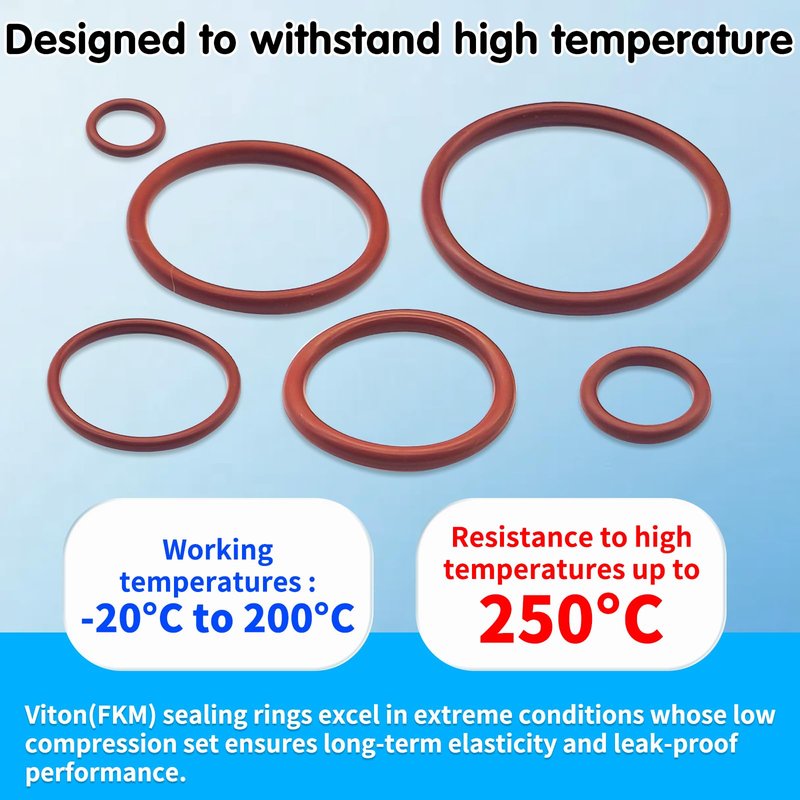 Langina 300pcs FKM Viton O-Ring Kit, 22Sizes SAE AS568 FKM O-Rings Set for Auto Fluid Systems, High Temp&Oil Resistant Viton Assortment, O Rings Repair Kit for Engine,Transmission&Brake Systems